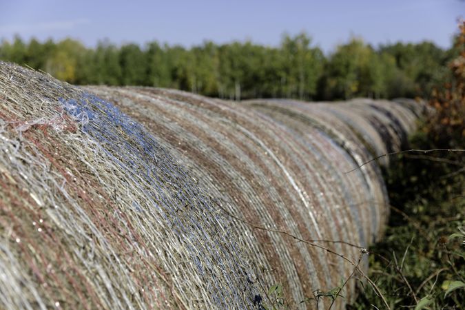 Hay rolls with a US flag wrap in Aitkin County, Minnesota