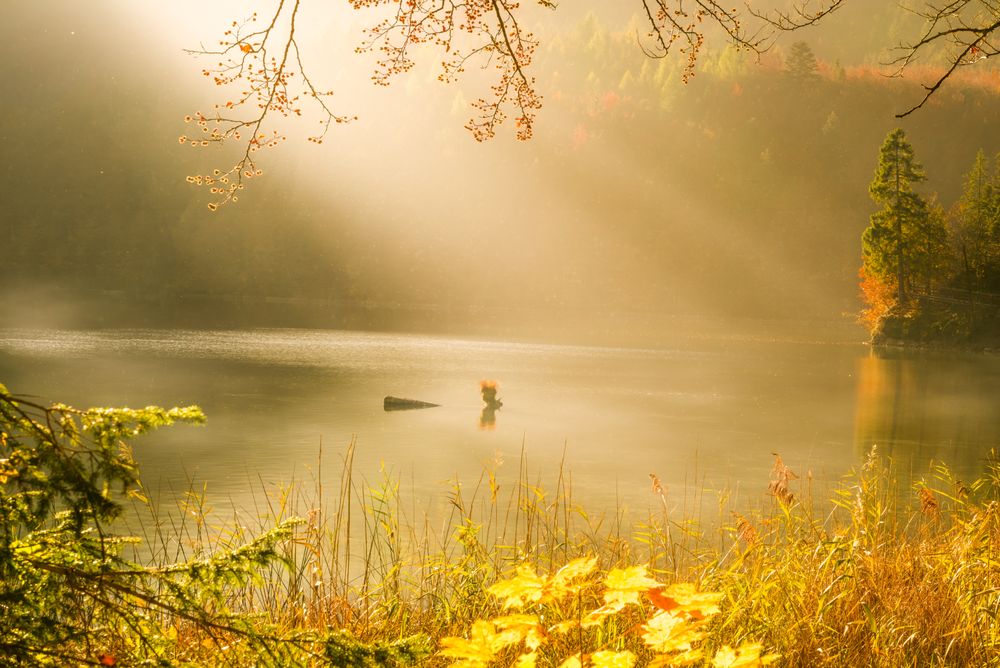 Morning sunshine over autumnal nature