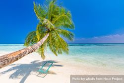Leaning palm tree on a tropical beach 4O1YL0