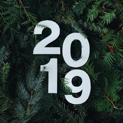 2019 cut out of light paper on a green pine background
