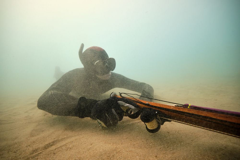 Diver with speargun fishing undersea under