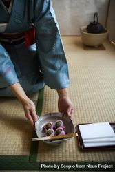 Woman in kimono placing dish on the floor 0yOnL4