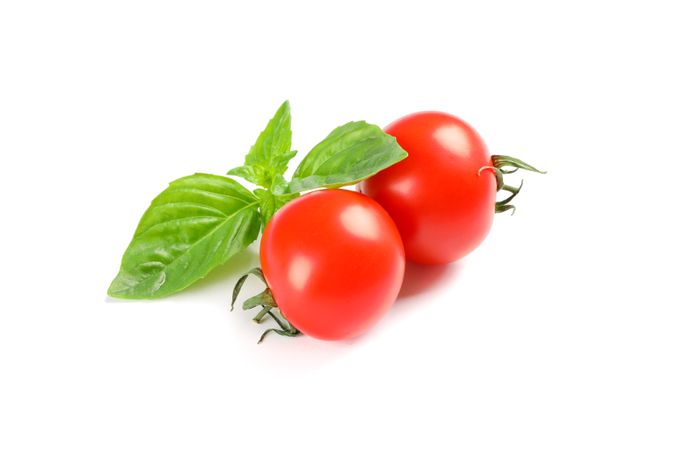 Fresh cherry tomatoes with basil isolated on blank background. Ripe vegetables