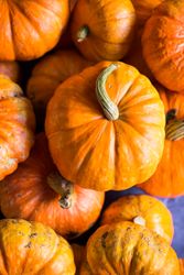 Pile of fresh ripe orange pumpkins on table