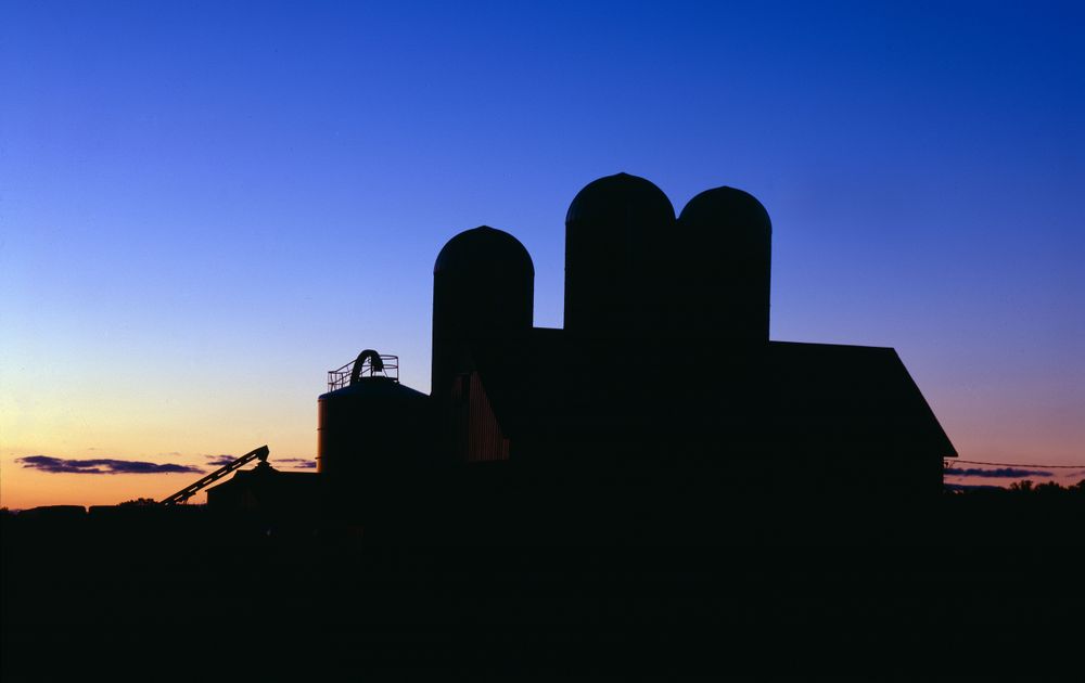 Sunset casts a glow over this dairy barn in Bruce, Wisconsin