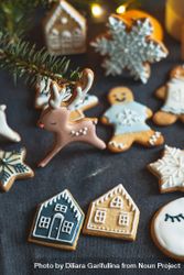 Baked gingerbread cookies in a variety of shapes and sizes 5zBWk5
