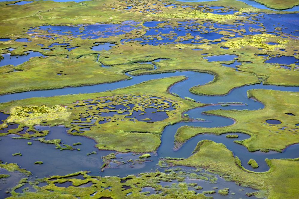 Marshlands on the New Jersey Shore near Little Egg Harbor, New Jersey