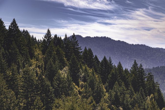 Beautiful rolling mountains full of lush green trees