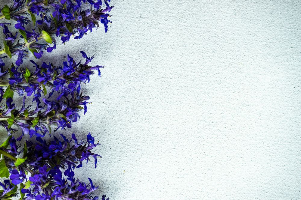 Blue flowers lined on side of grey counter