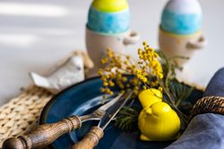 Easter holiday concept with navy plate with bird ornament and decorative eggs in cups