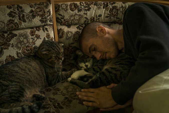 Young man sleeping with cats on sofa