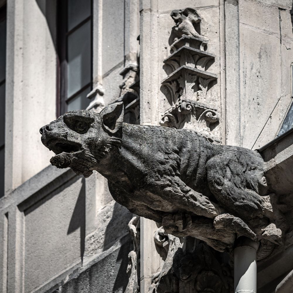 Medieval stone gargoyles on the roof of the palace in Nancy