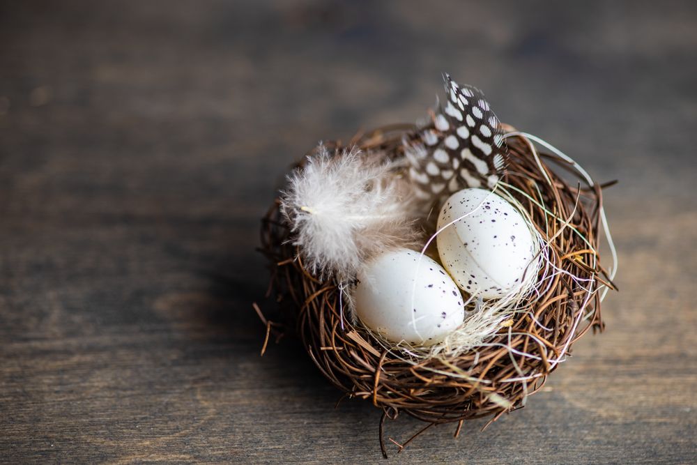 Easter card concept with delicate nest and eggs on wooden table