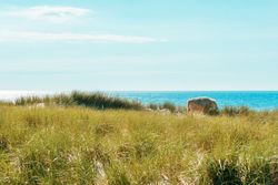 Sylt island landscape with marram grass dunes and horizon over the sea