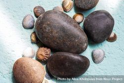 Large rocks and seashells on blue background 4Oo2j4