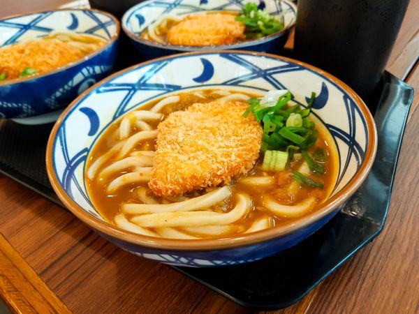 Chicken Katsu Curry Udon Noodles in Japanese Restaurant