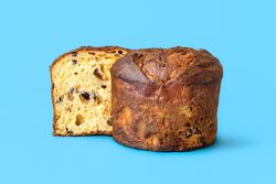 Halved pannetone on bright blue background