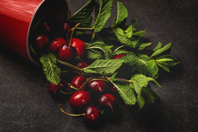 Cherry with branches in cup on table