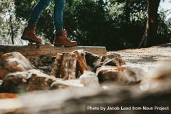 Low angle view of a person walking on a fallen tree trunk in a forest 0Vakkb