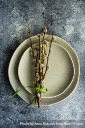Easter concept with branch on ceramic plates 5XrOdQ