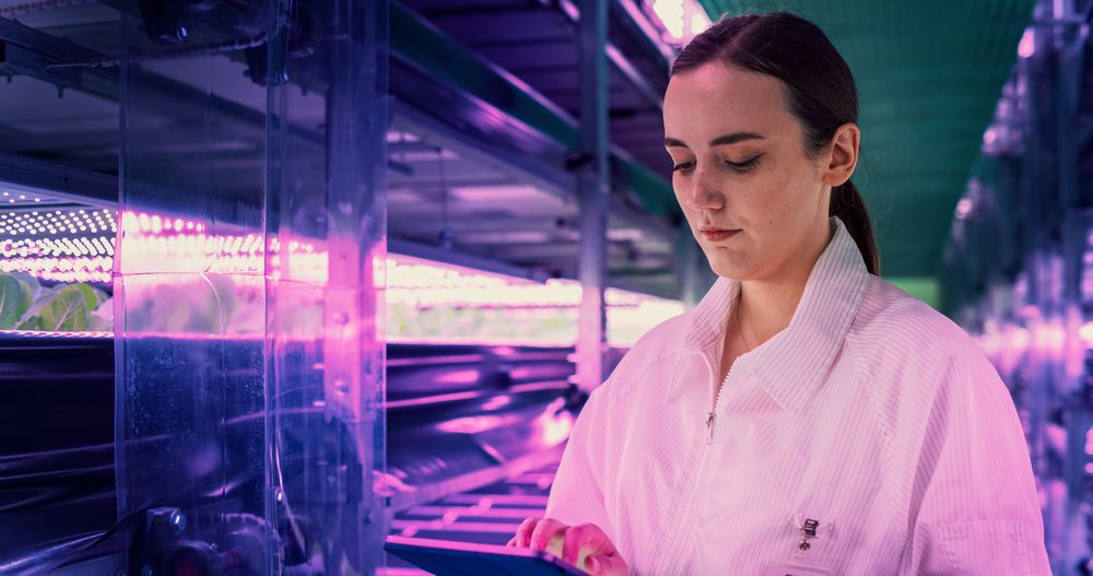 Portrait of a Female Agricultural Engineer Walking in Vertical Farm Facility Next to Racks with Fresh Natural Crops. Hydroponics Specialist Using a Tablet Computer, Studying and Cultivating Plants