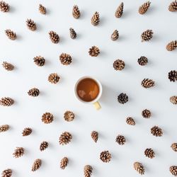 Winter forest aerial made of pinecones with coffee