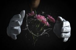 Hands of unrecognizable woman with a bouquet of carnations