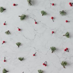 Holly and pine pattern on marble background