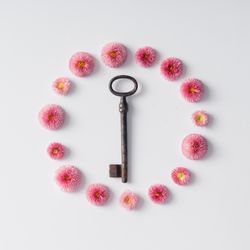 Circle of pink English daisy flowers with key on light background