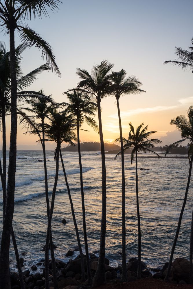 Exotic ocean sandy hill with palms
