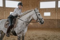 Rider riding dapple gray horse in round arena