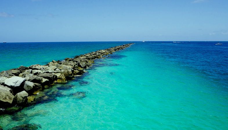 Oceanic Vista: Miami's Vibrant Waterfront