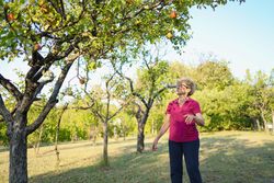 Older woman standing under an apple tree, reaching for fruit in an orchard, a healthy lifestyle concept, wide-angle shot with copy space.