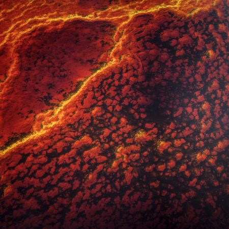 Bright orange splashes in nature