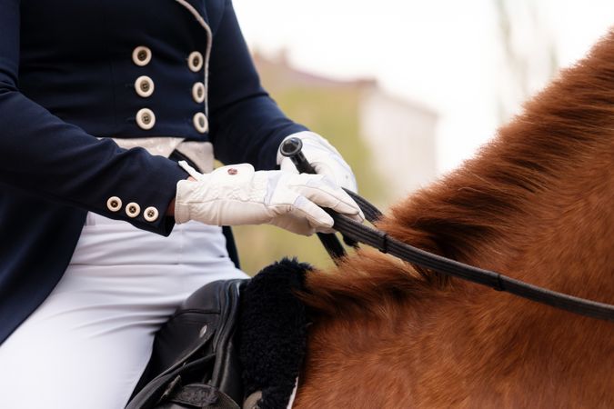 Equestrian in formal attire riding a chestnut horse.