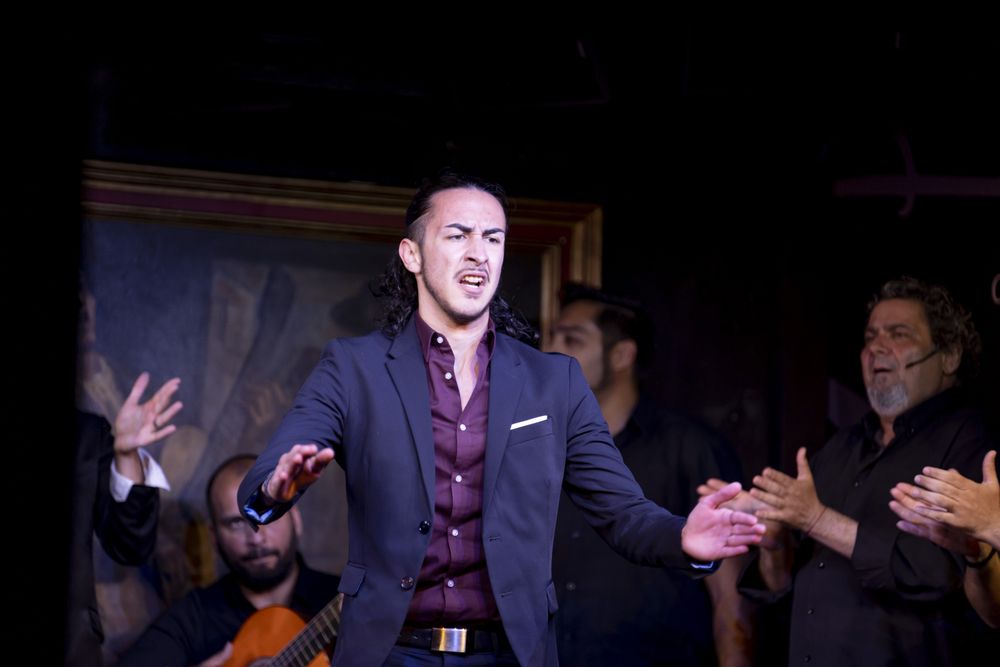 Flamenco performance on stage