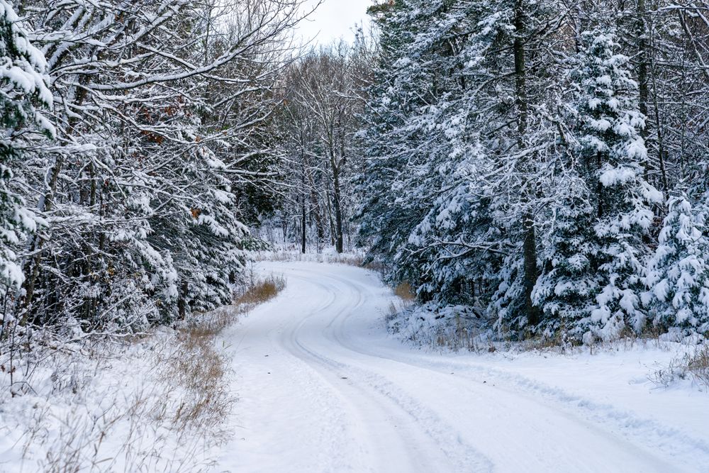 A snowy road in Itasca County, Minnesota