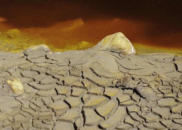 Bright orange splashes in nature