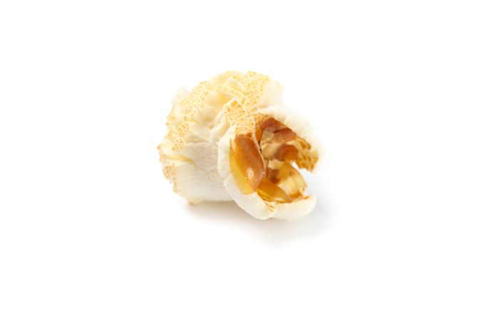 Piece of popcorn isolated on blank background, close up