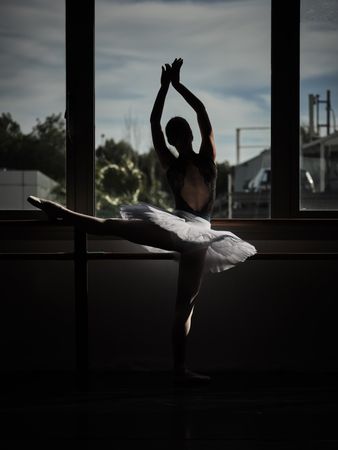 Ballerina doing ballet stretching exercise on barre