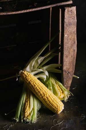 Phases of fresh corn peeling