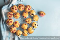 Top view of muffins on a cooling rack 0gzpjb