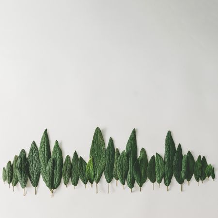 Green leaves in row on light  background