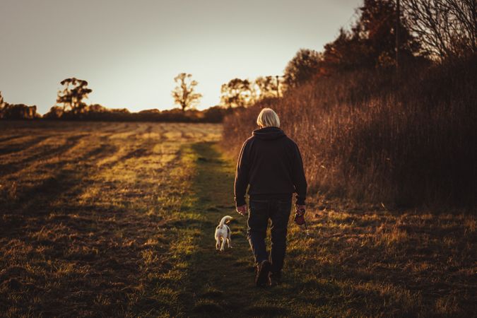 Back view of an older man walking with a dog in the woods at sunset