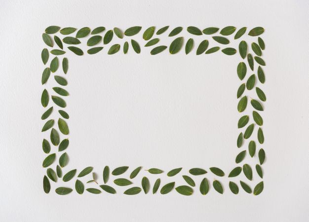 Green leaf frame on light background