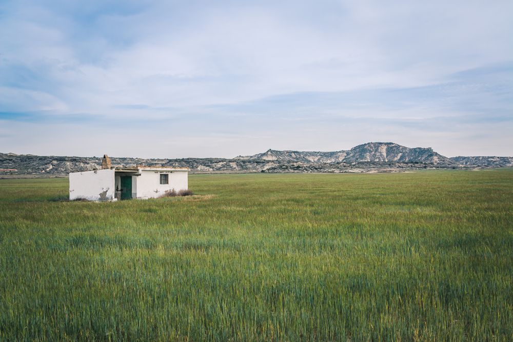 Small house in green endless fields