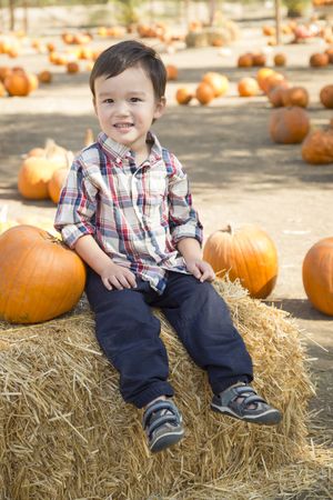 Young Boy Having Fun at the Pumpkin Patch