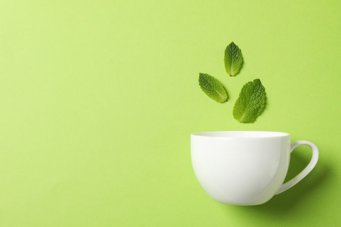 cup and leaves on green background, space for text