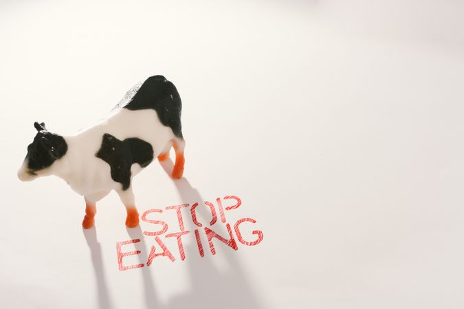 Slogan calling to stop eating animals