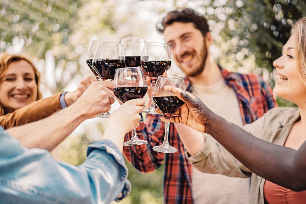 A diverse group of friends cheerfully toasting with glasses of red wine, enjoying a sociable moment outdoors